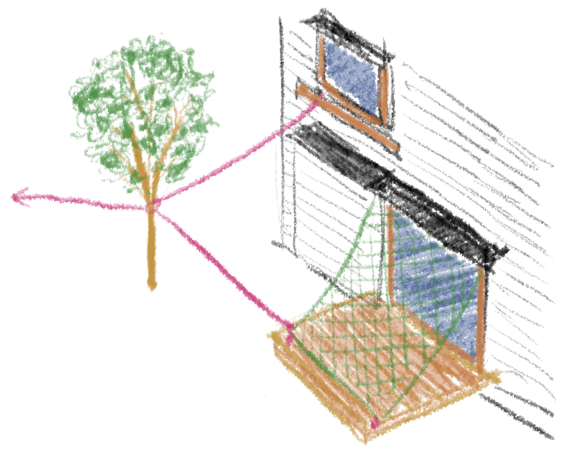 台風対策 庭木の固定 屋外編 住まい 自宅のお手入れ メンテナンス方法 ユーザーズサポート株式会社
