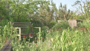 住まい手さま専用暮らしの見学会_260426